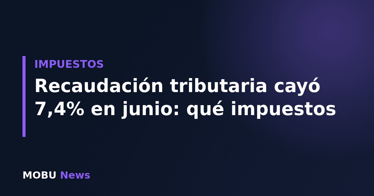 Recaudación tributaria cayó 7,4% en junio: qué impuestos