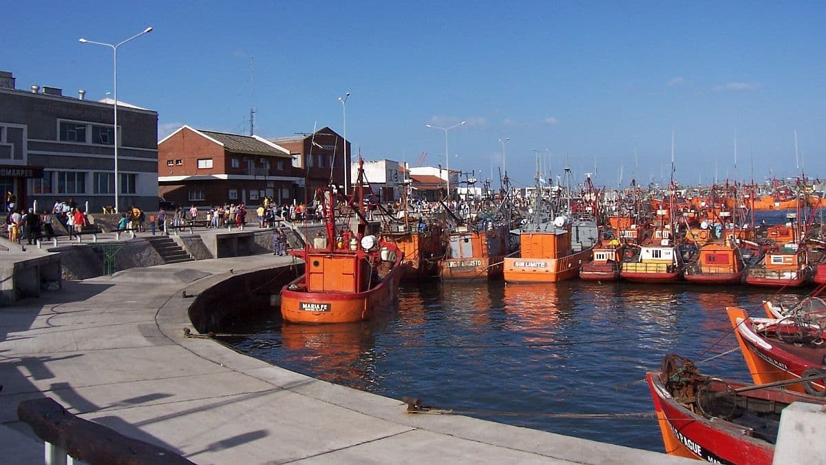 Featured image for: Comercio exterior: el Puerto de Mar del Plata lanza incentivos para exportar y busca frenar la salida de cargas a otros puertos