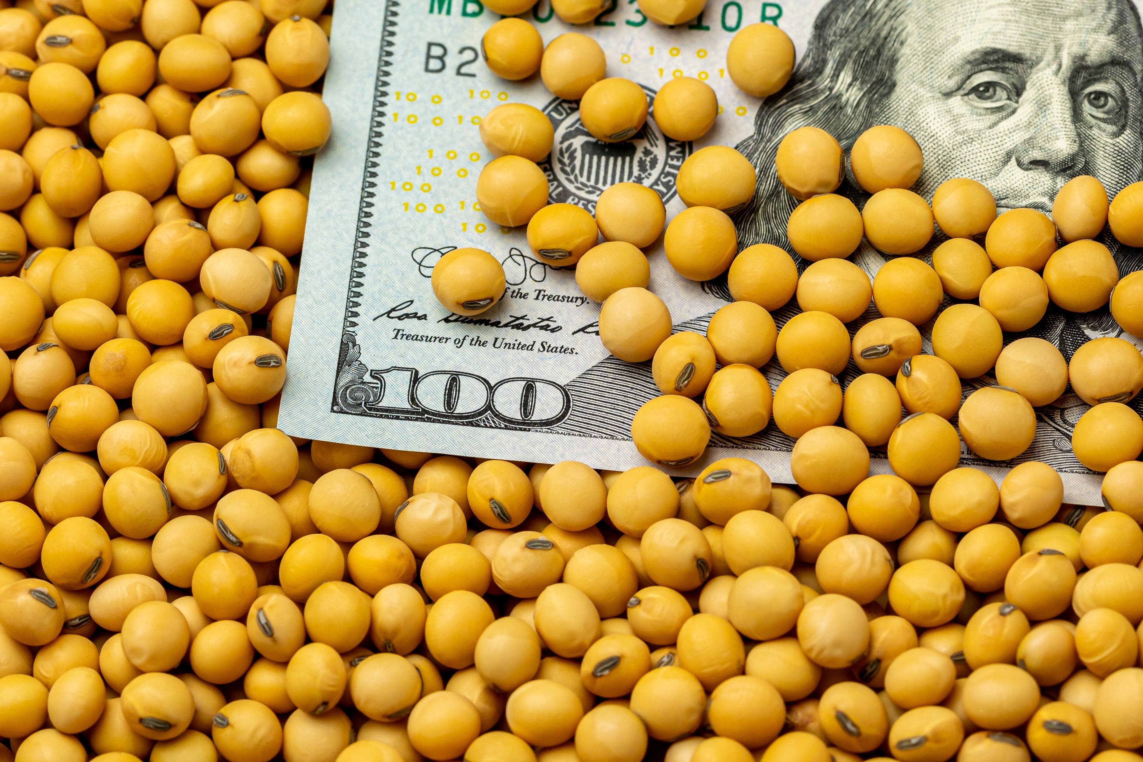 Agro 2026: cosecha récord pero US$ 1.200M menos por caída de precios
