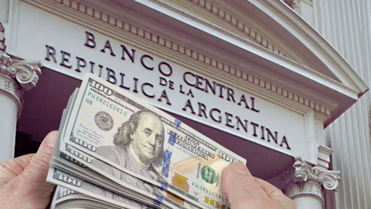 Dólar hoy 8 de octubre: oficial, blue, MEP y CCL