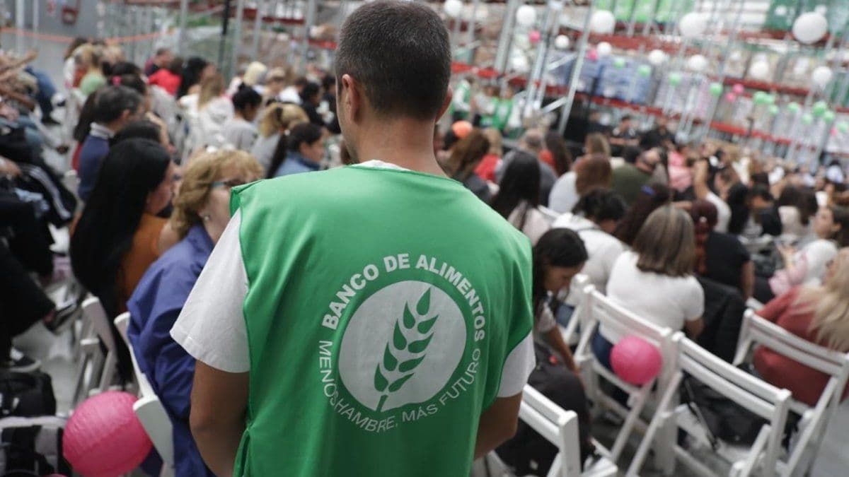 Donar alimentos cuesta más que tirar: el dilema fiscal