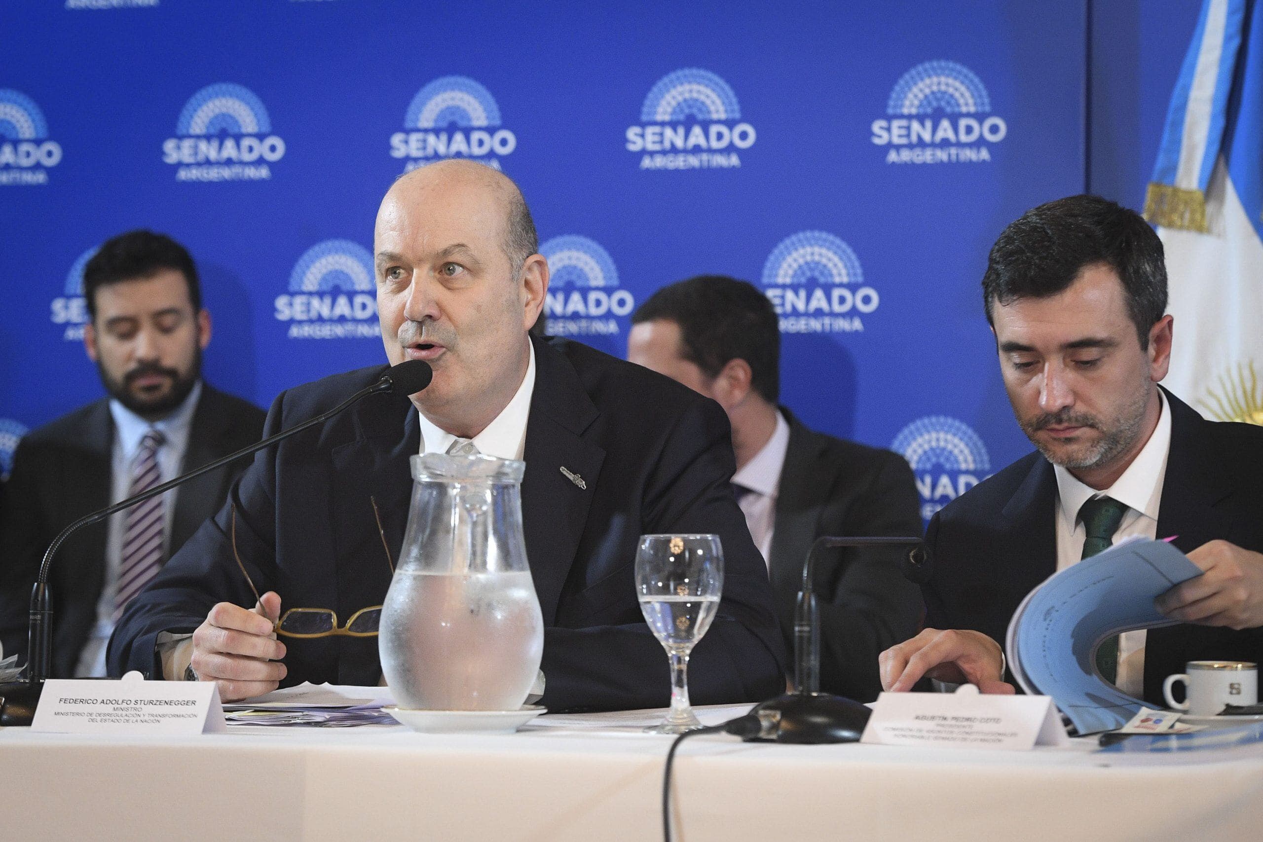 Marina Mercante: Sturzenegger enfrenta rechazo en el Congreso y presión de navieras