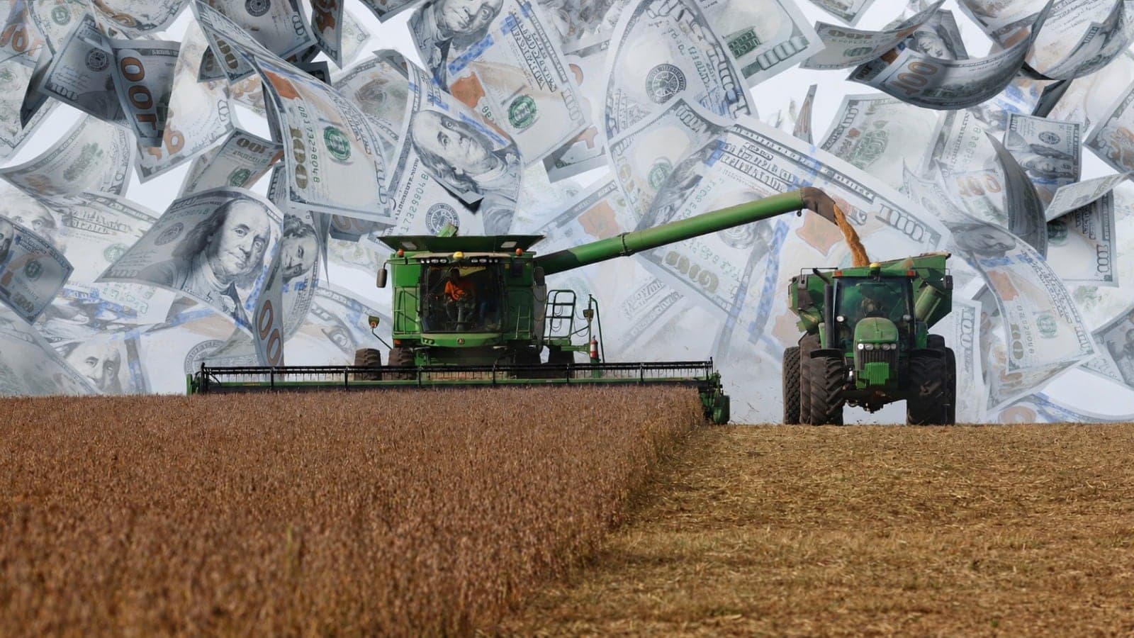 Retenciones 2026: qué productos siguen gravados y aportan 0,7% del PBI
