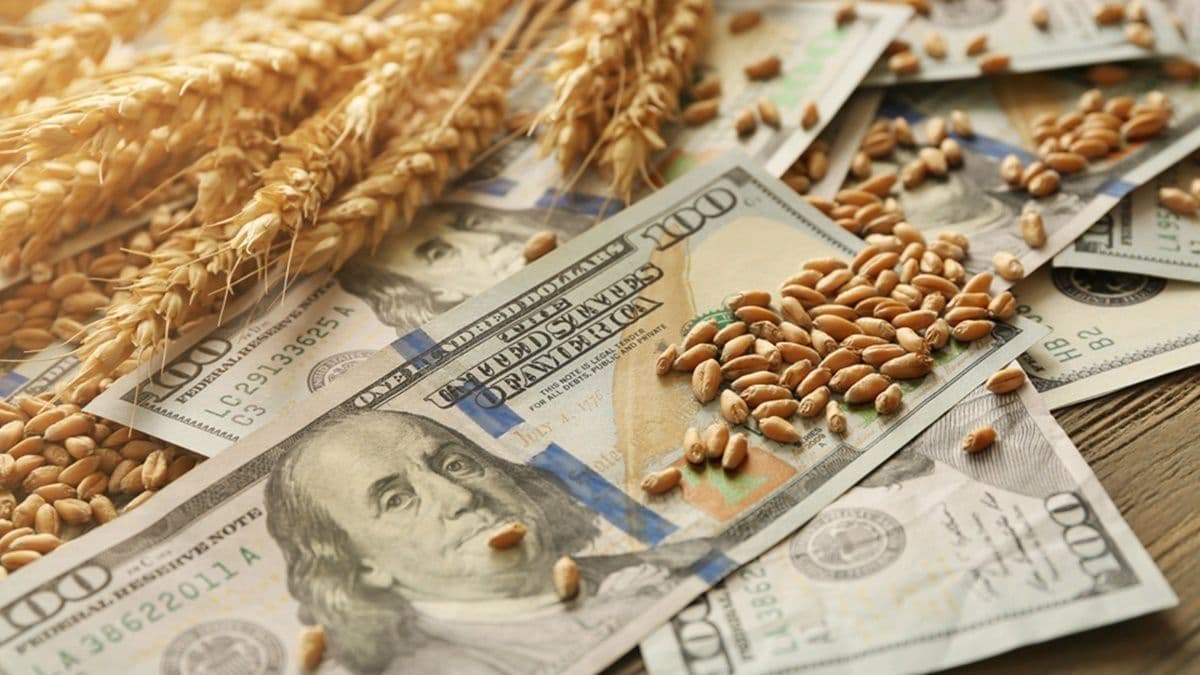 Retenciones al agro 2026: US$ 4.613 millones pese a baja de alícuotas